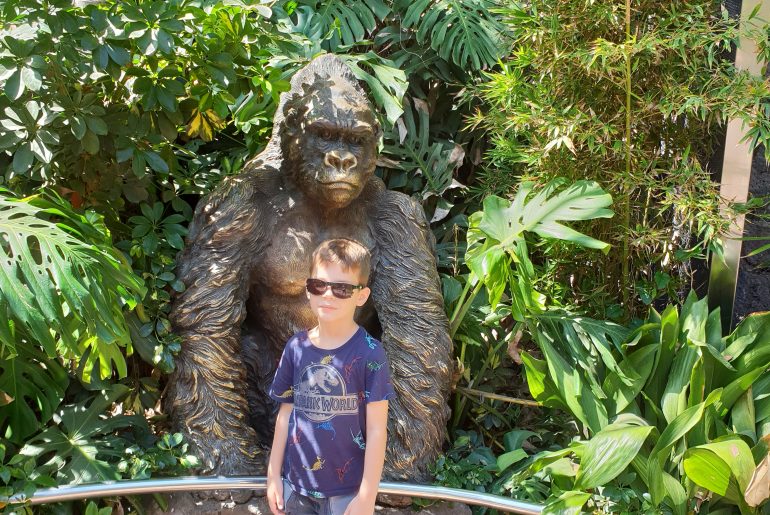 David la Loro Parque- Tenerife