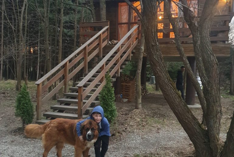 Cum a fost la Porumbacu TreeHouse